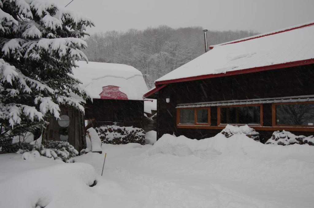 Goryo Guesthouse NakaNakafurano Exterior foto